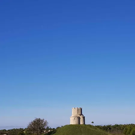 Apartman In - Zadar Riviera 41399