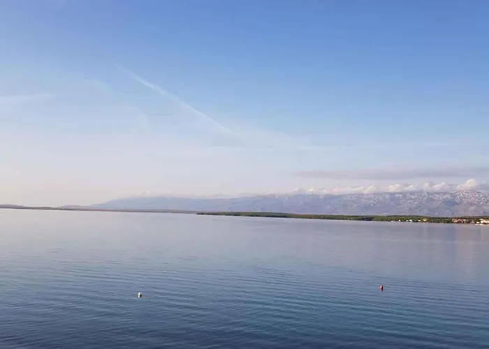 Apartman In - Zadar Riviera 41399