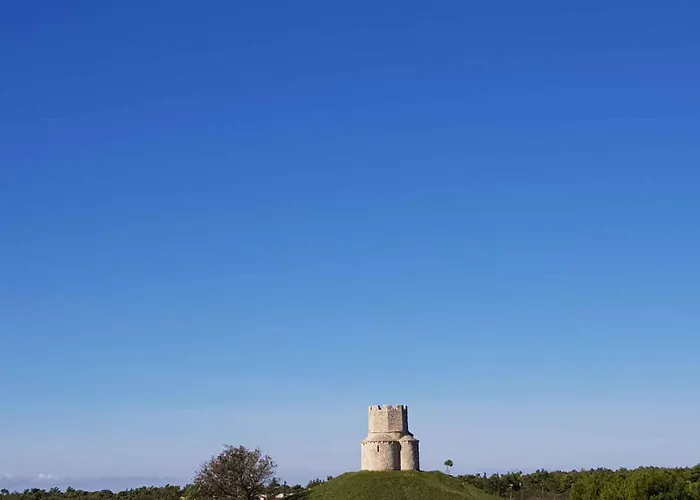 Apartman In - Zadar Riviera 41399