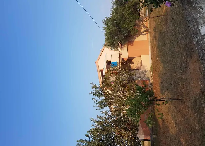 In - Zadar Riviera 41399 *